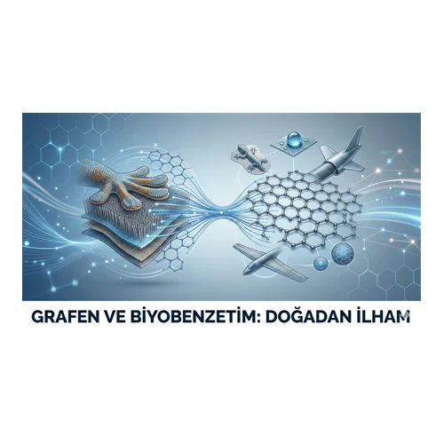 Grafen ve Biyobenzetim: Doğadan İlham