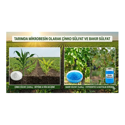 Tarımda Mikrobesin Olarak Çinko Sülfat ve Bakır Sülfat