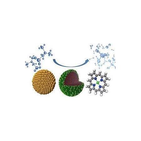 Metal Nanoparticles