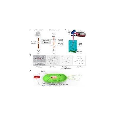Gümüş Nanoparçacık Uygulamaları Özellikleri Nanokar