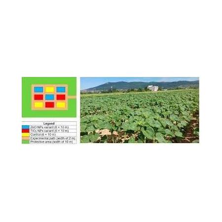 Tarımda Devrim Yaratan Çinko Oksit Nanopartikülleri