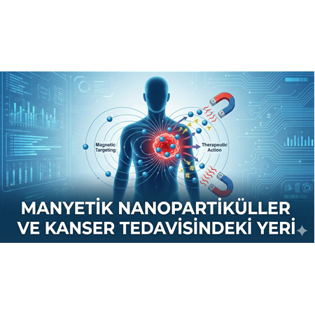 Manyetik Nanopartiküller ve Kanser Tedavisindeki Yeri