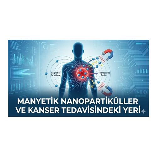 Manyetik Nanopartiküller ve Kanser Tedavisindeki Yeri