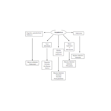 Yara İyileşmesinde Nanoteknoloji: Nano Fiber Turnikelerin Rolü