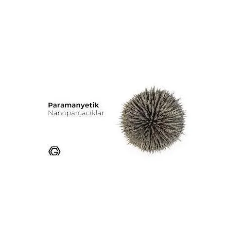 Paramanyetik Nanoparçacıklar