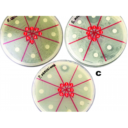 Antibakteriyel Etkinlik Testleri ve Standartları