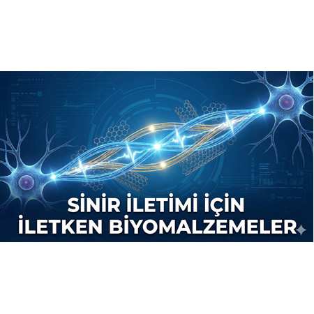 Sinir İletimi İçin İletken Biyomalzemeler