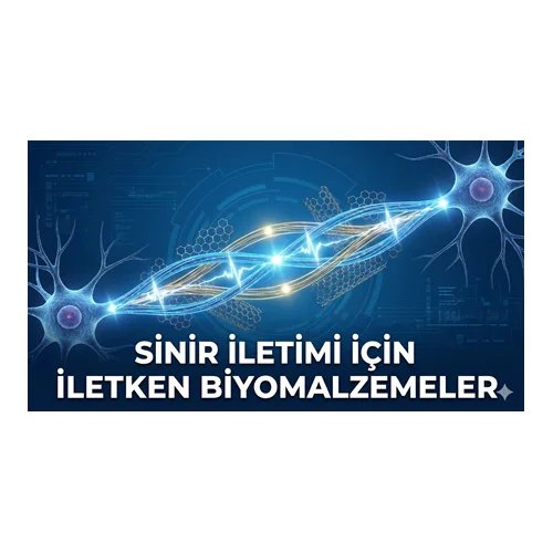 Sinir İletimi İçin İletken Biyomalzemeler