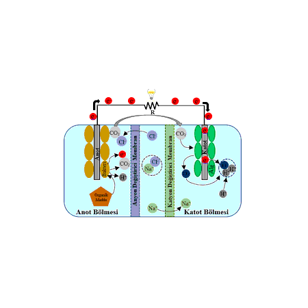 Sürdürülebilir Elektrik Üretimi için Mikrobiyal Nanotellerin Kullanımı