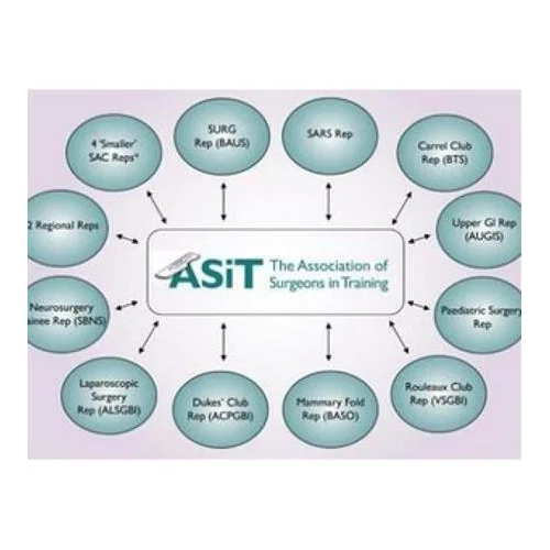 Asit Nedir? Asit Fiyatları ve Kullanım Alanları