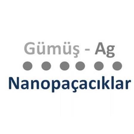 Geçiş Metal Nanopartiküller