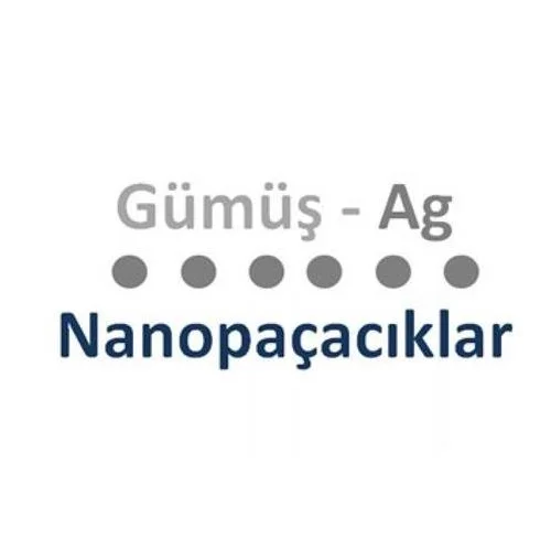 Geçiş Metal Nanopartiküller