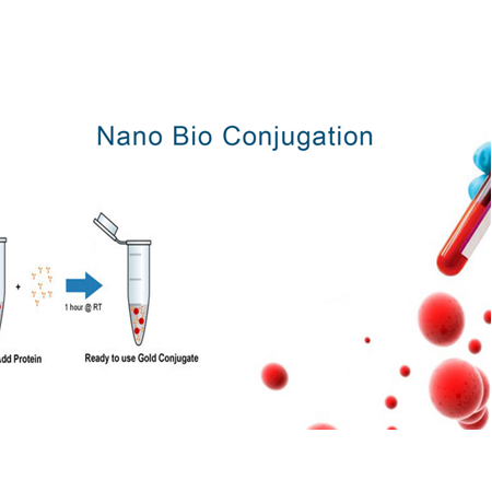 Bio Nano Konjugasyon