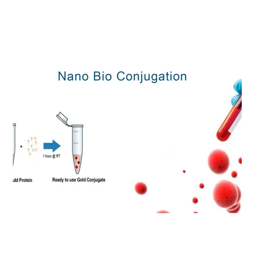 Bio Nano Konjugasyon