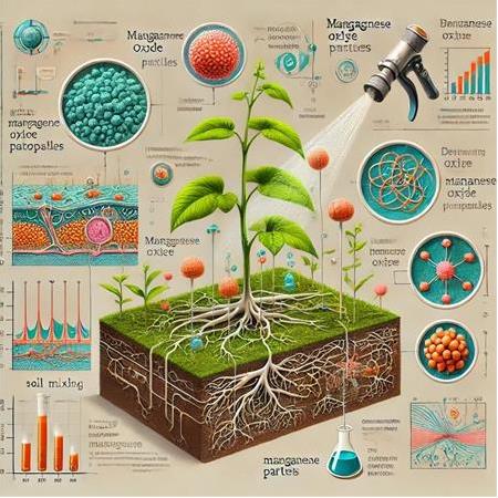 Nano Boyutlu Mangan Oksit Partiküllerini Bitkilere Uygulama