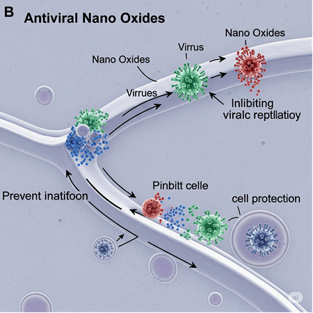 Antiviral Özellikli Nano Oksit Uygulamaları