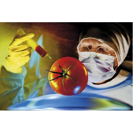 NANOTEKNOLOJİ VE GIDA ENDÜSTRİSİ