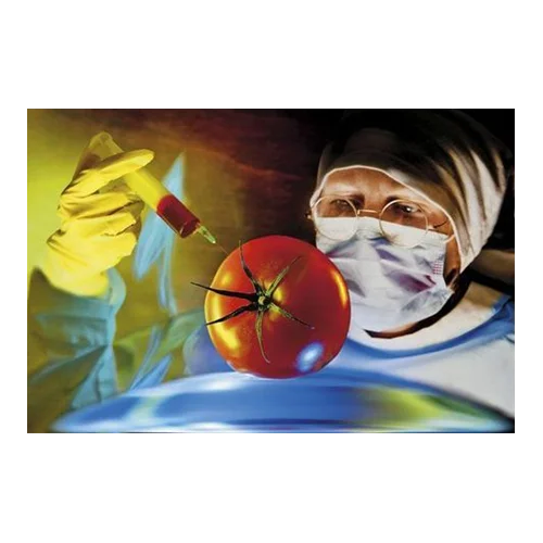 NANOTEKNOLOJİ VE GIDA ENDÜSTRİSİ