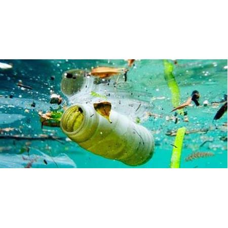 PLASTİKLERE MÜKEMMEL BİR ALTERNATİF OLARAK