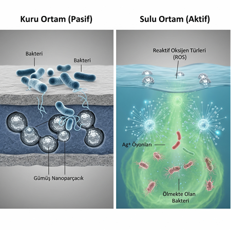 Nano Gümüş Takviyeli Kompozitlerde Suda Aktif Antibakteriyel Etkiler