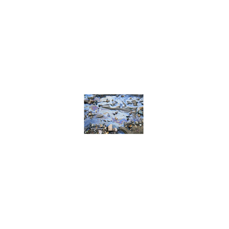 Atık Sular için Bor Nitrür Nanoplakalar