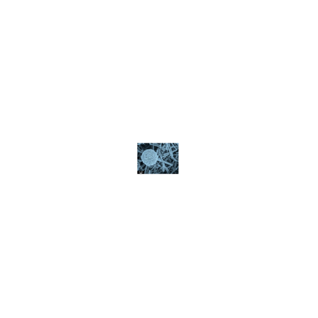 Silikon Karpit Lolipop