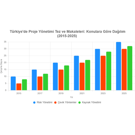 Türkiye'de PM Üzerine Yapılmış Tez ve Makale İncelemeleri
