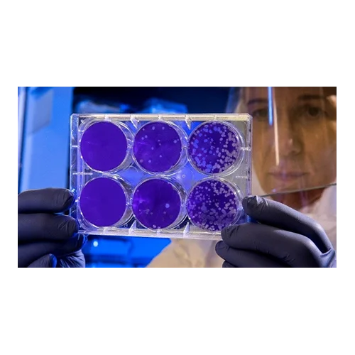 ?Covid-19 Tedavisi ve Nanoteknoloji