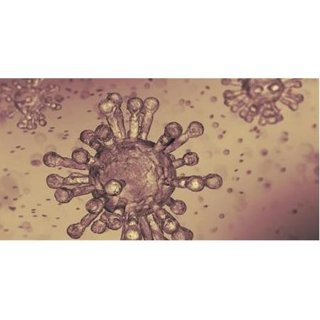 Yeni virüsler nasıl evrimleşiyor ve yayılıyor?