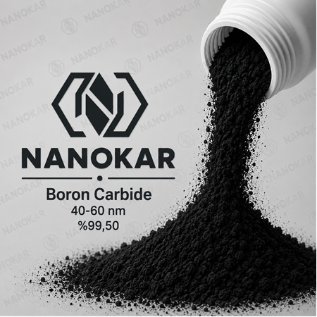 Bor Karbür 40-60 nm